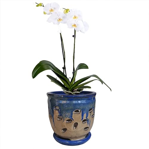 Macetas grandes de cerámica para orquídeas con agujeros, maceta con platillo para plantas de interior, decoración del hogar, maceta redonda (azul +