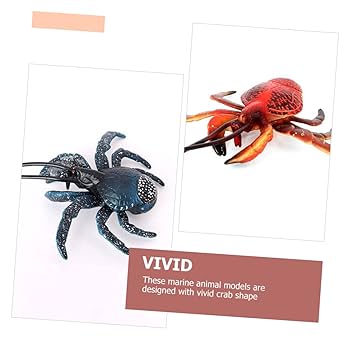 タカラガイ（ハワイホシダカラ？）2個セット　インテリアに タカラガイ（ハワイホシダカラ？）2個セット インテリアに