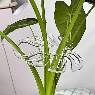 5/10Pcs Transparent Turtle Backed Bamboo Plant Support Pole Reusable Indoor and Outdoor Gardens Plant Stem Support Stake (5Pcs,13x9.5cm)