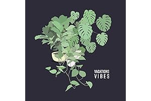 Vibes 13-Inch Built-In RV, Automotive, & Marine Outdoor TV