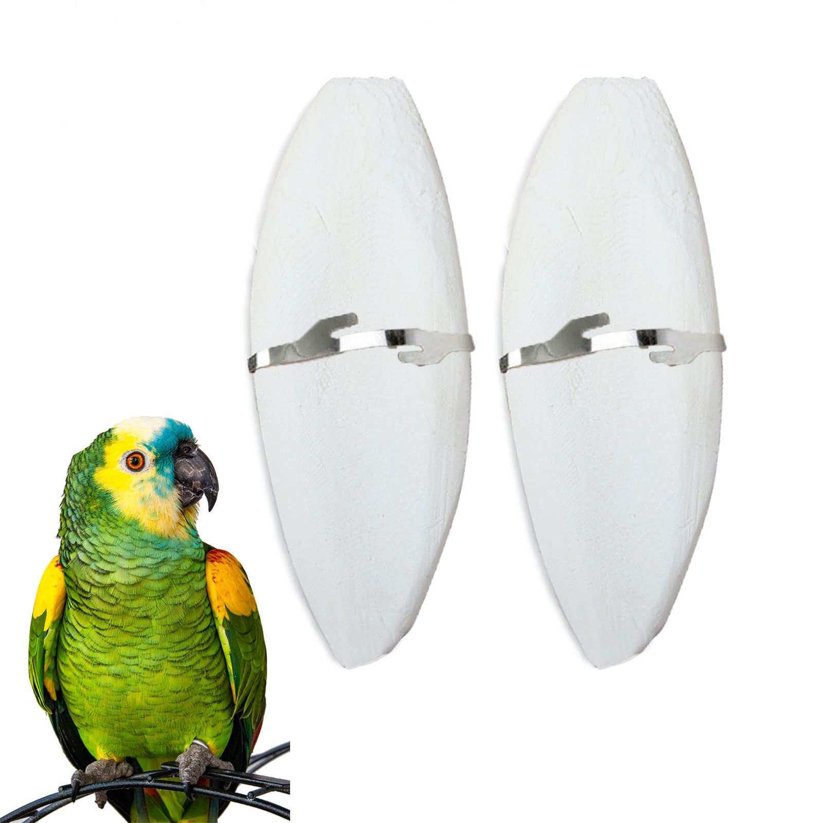 豚bird Amazon.com : Mivofun 2 Pack Big Cuttlebones for Birds