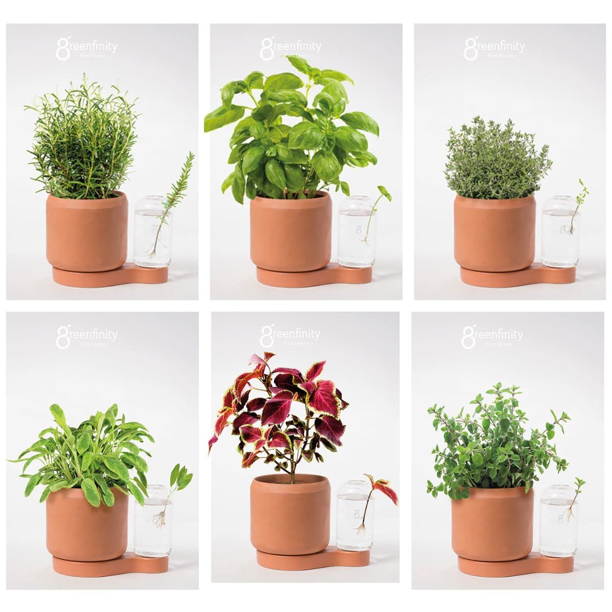 Amazon.co.jp: Greenfinity ハーブ 観葉植物 プランター 自動給水 家庭