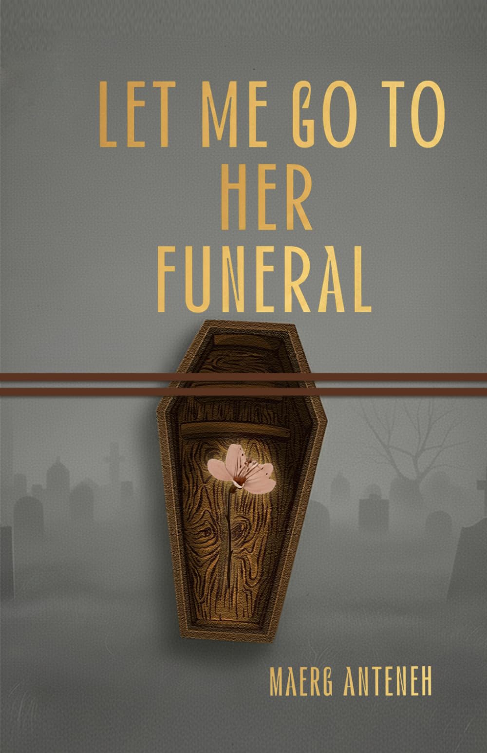 LET ME GO TO HER TO FUNERAL: Psychological thriller