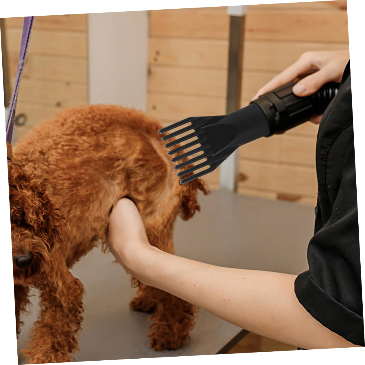 Beccuccio Phon in Abs, 4 Pezzi per Phon Toelettatura Cani e Piccoli Animali, Attacco Sicuro e Asciugatura Confortevole per Styling e Cura del Pelo