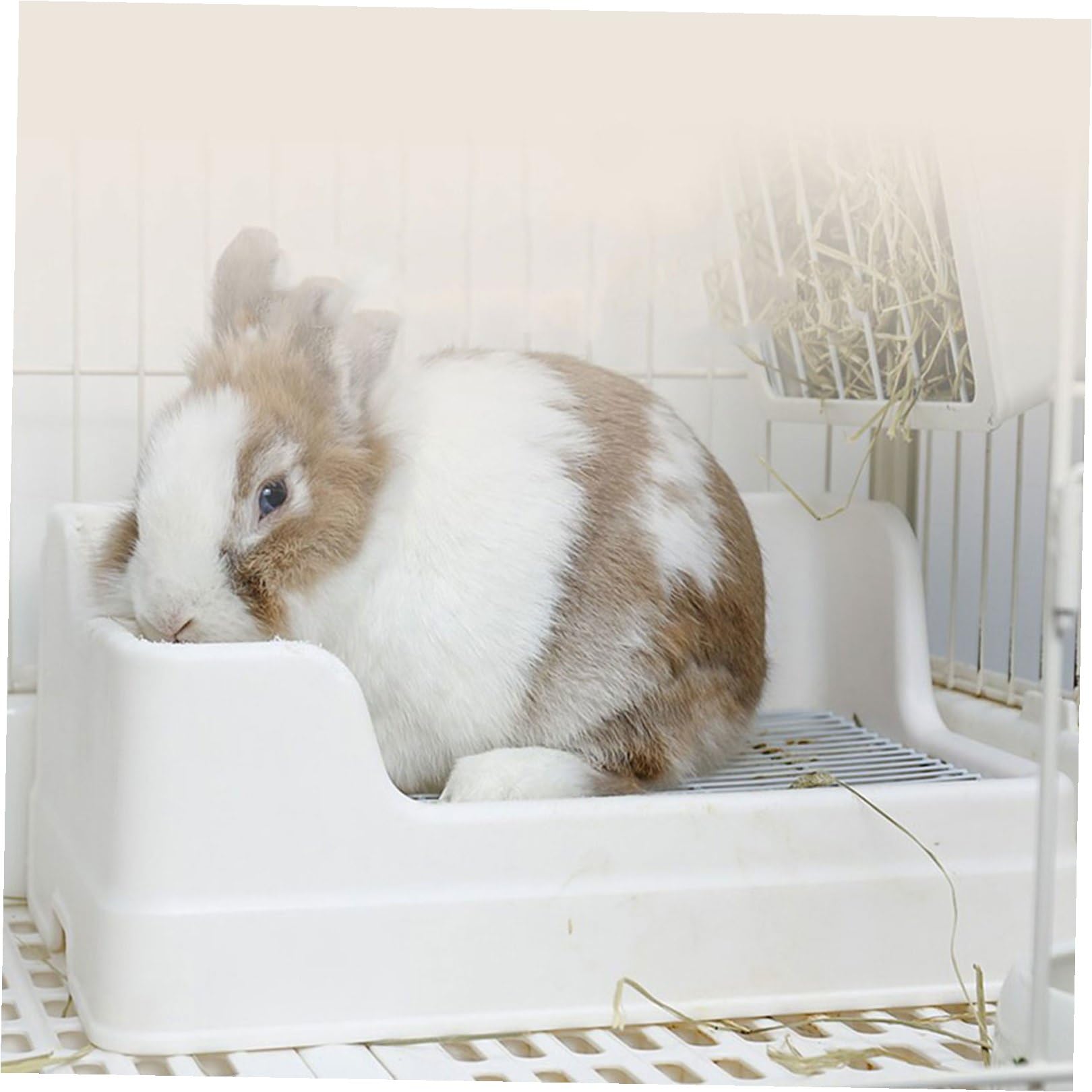 TEHAUX Lettiera per Conigli in Plastica Bianca, Design Separato Superiore e Inferiore, Facile da Pulire Griglia Adatta per Animali Domestici e Coniglietti