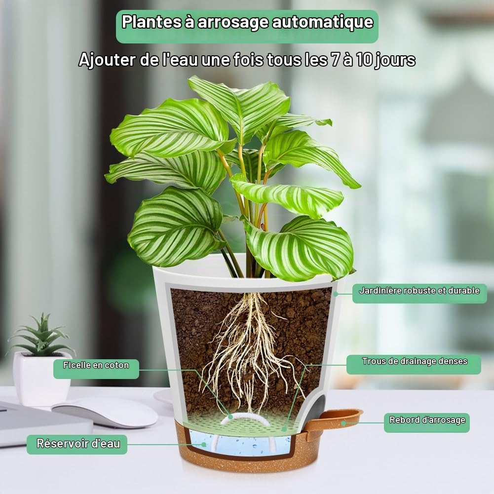 OFFCUP Lot de Pot de Fleur en Plastique, 6pcs Pots de Fleurs Auto-Arrosant, Pots de Plantes avec Trous De Drainage et Soucoupes Amovible pour d'Intérieur et d'Extérieur Jardins de Balcon -Blanc 20cm