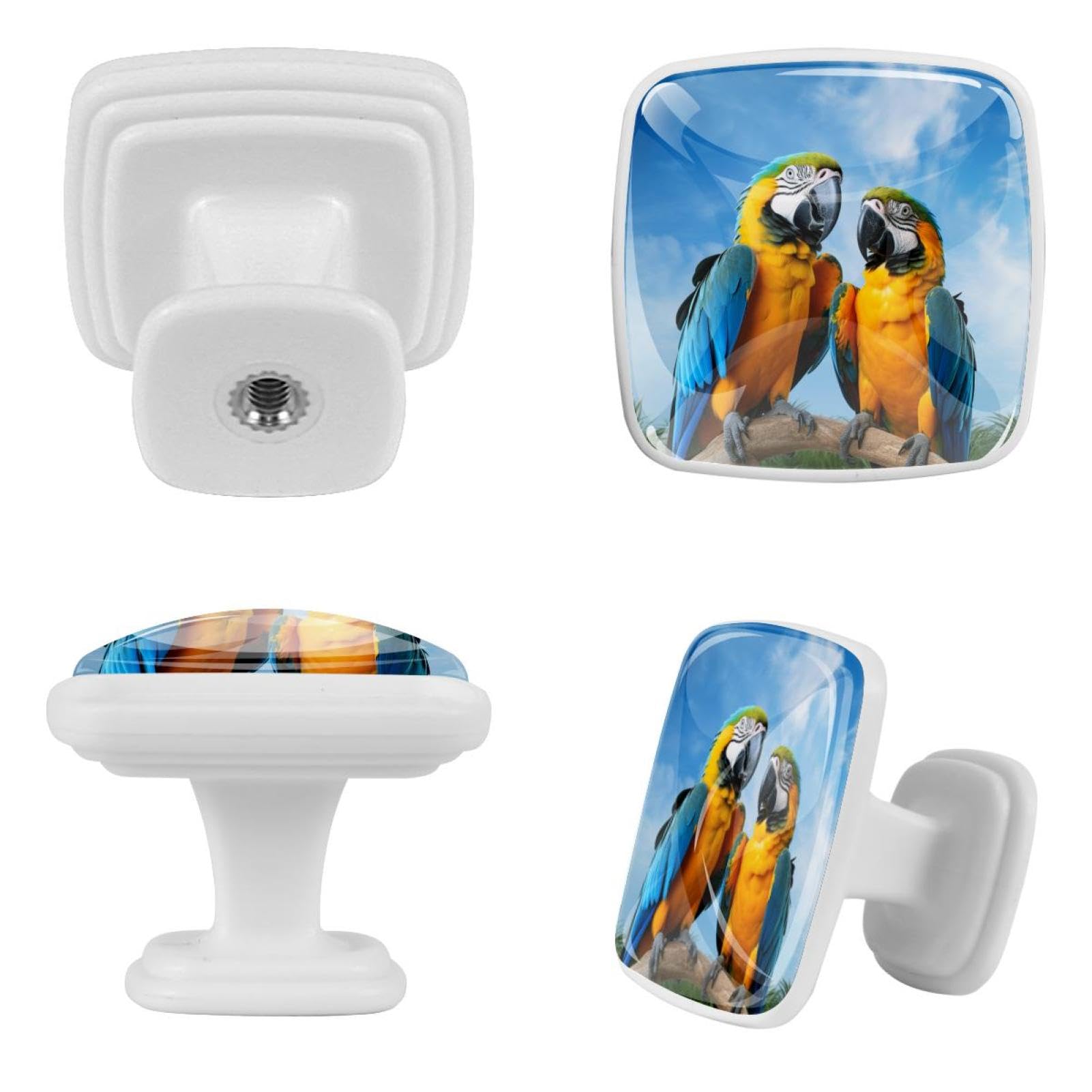 Pomos cuadrados para gabinete de cocina, pomos para cajones de tocador, 12 piezas, loros de pájaros de pradera azul, pomos de puerta de armario