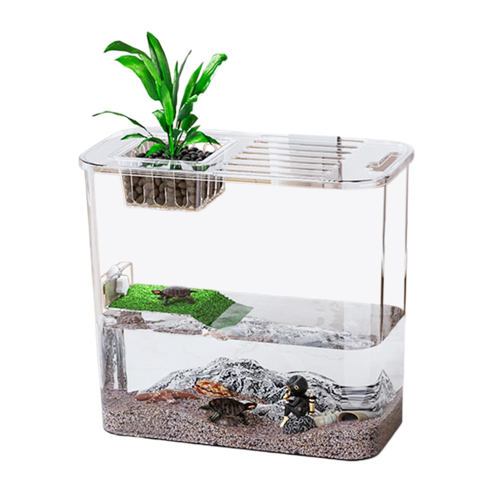 Aquarium pour tortues, terrarium créatif pour tortues, aquariums | transparents pour tortues d'eau et de terre, aquarium pour tortues et poissons
