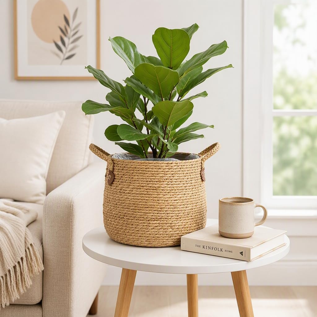 Cestino portavaso in rattan naturale intrecciato con rivestimento in plastica, coprivaso decorativo da 22 cm per piante da interno, arredamento boho.