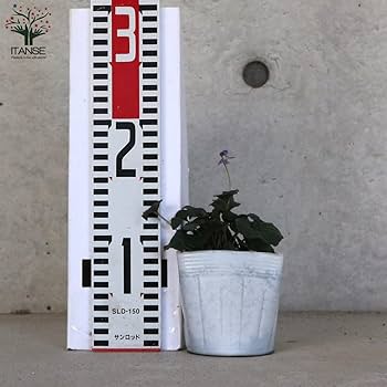 【確認用】ラブラドリカ 61blJZjQzRL._UF350,350_QL50_.jpg