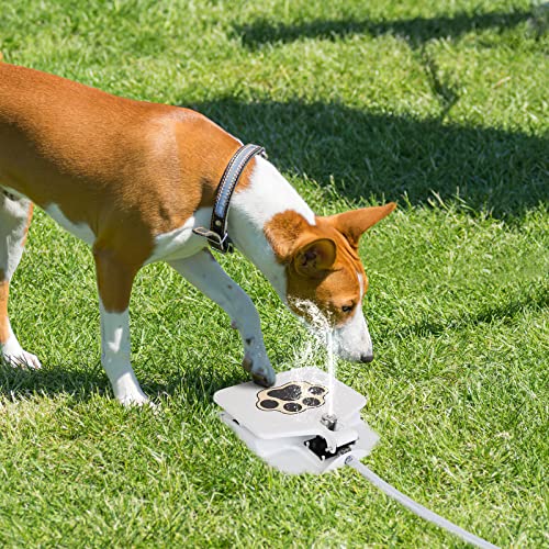 Moclever Dog Water Fountain Paw Pressure Activated Toy, Petal Step On Doggie Water Sprinkler, Fresh Water to Drink, Happiness and Fun, Outdoor Pet Sprinkler, Easy to Use for Dog Water Sprinkler - Thumbnail 2