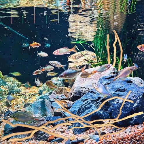 Image of Hamiledyi Natural Driftwood for Aquarium Decor - Red Moor Wood 10 inch-15 inch Long Assorted Shapes (200g) Safe Branches for Fish Tank & Reptile Habitat - Natural Aquarium Wood Decorations (Medium Branches)