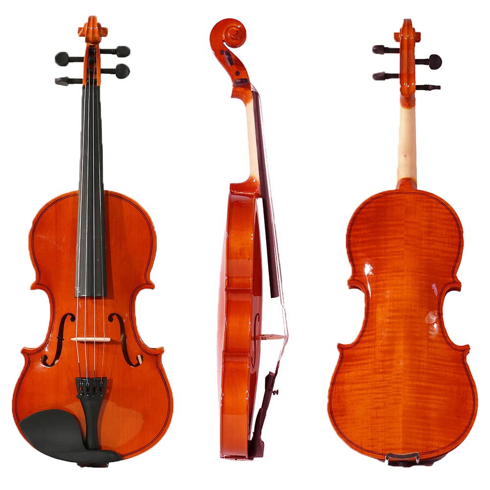 ffalstaff V01 Violino Laminato Finitura Lucida 4/4 - Completo di Archetto, Custodia con Manico e Spallacci e Blocchetto di Colofonia