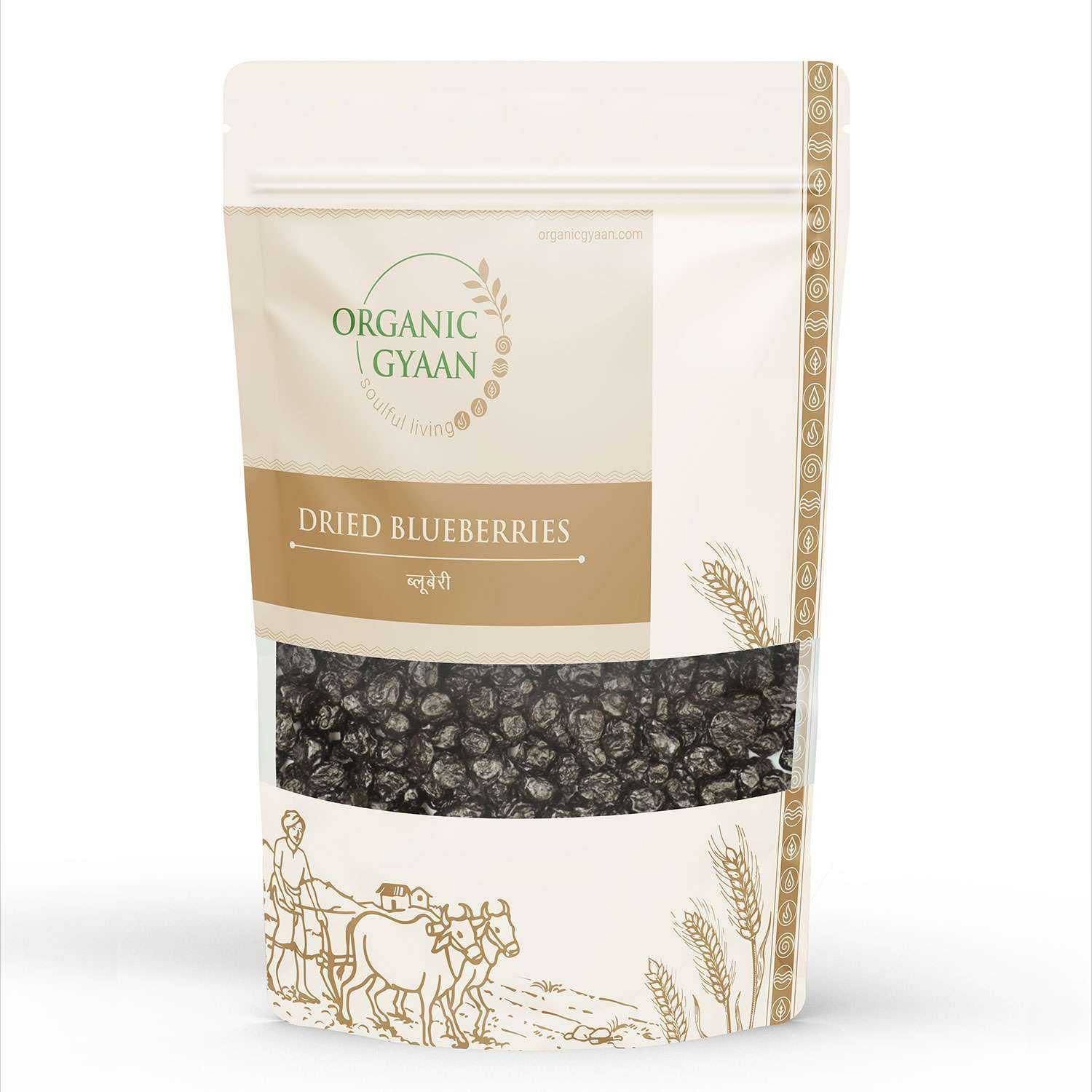 Organic Gyaan Organic Dried Blueberries 250 Gm (B0B8S9SJPN) Amazon Price History, Amazon Price Tracker