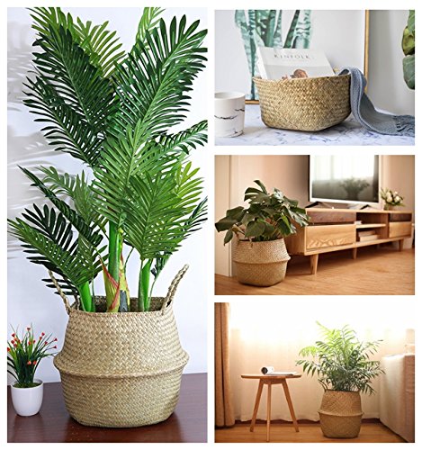 Seagrass naturale tessuta ripiegabile Wcic pot