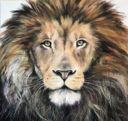 Textile Express 100% Organic Cotton Cushion Panel Lion