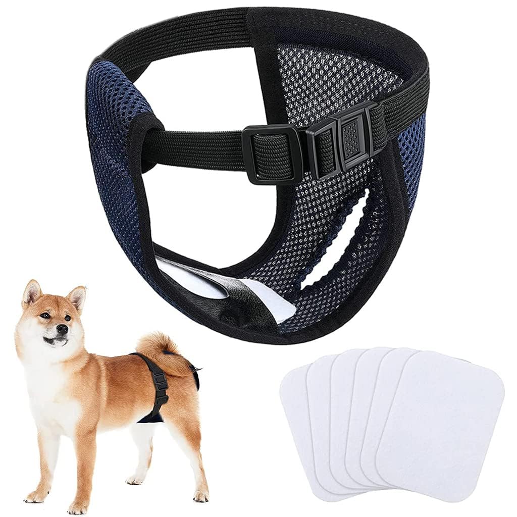 Buraq Pets Reusable Female Dog Diapers with 6 Absorbption Cotton Pad, Dog Pampers, Dog Period Trousers, Protective Panties for Female Dogs (Dog Diapers, L, Waist 16" - 21") (B0D9M224NB) Amazon Price History, Amazon Price Tracker