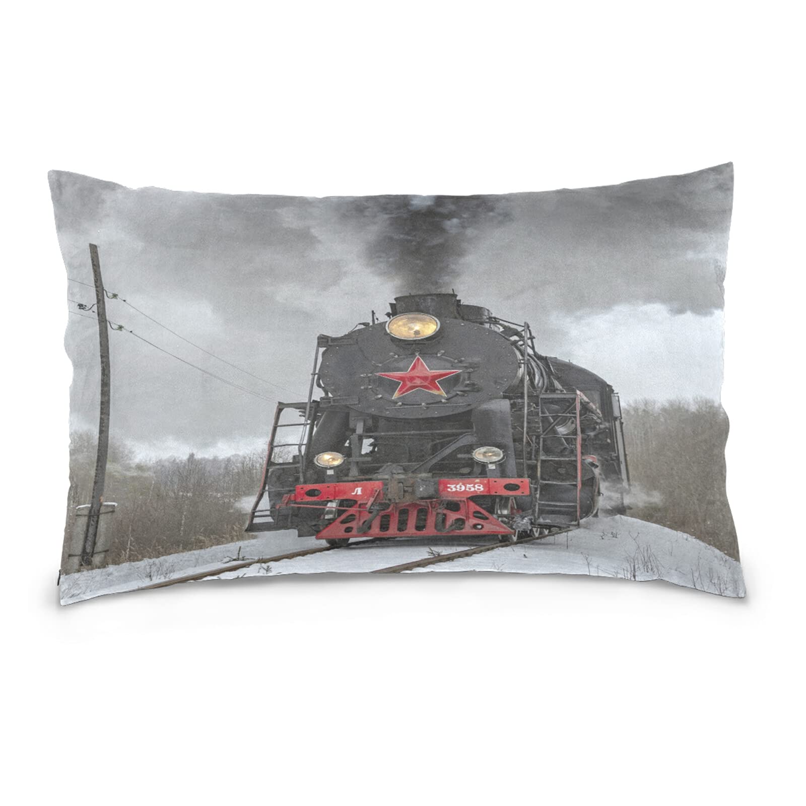Poeticcity Multi 16 Steam Train In Winter With White Snow, On The Track Route With Smoke Cotton Velvet Pillowcase, Throw Pillow Sham Cushion Case Covers, Soft Breathable Bed Pillow Cases For Car Couch Bed 16X24 Inches