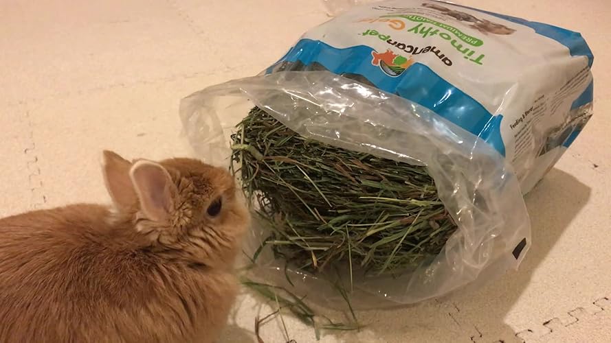 アメリカンペットダイナー　チモシーゴールドヘイ　680g × 6袋 アメリカンペットダイナー チモシーゴールドヘイ 680g × 6袋