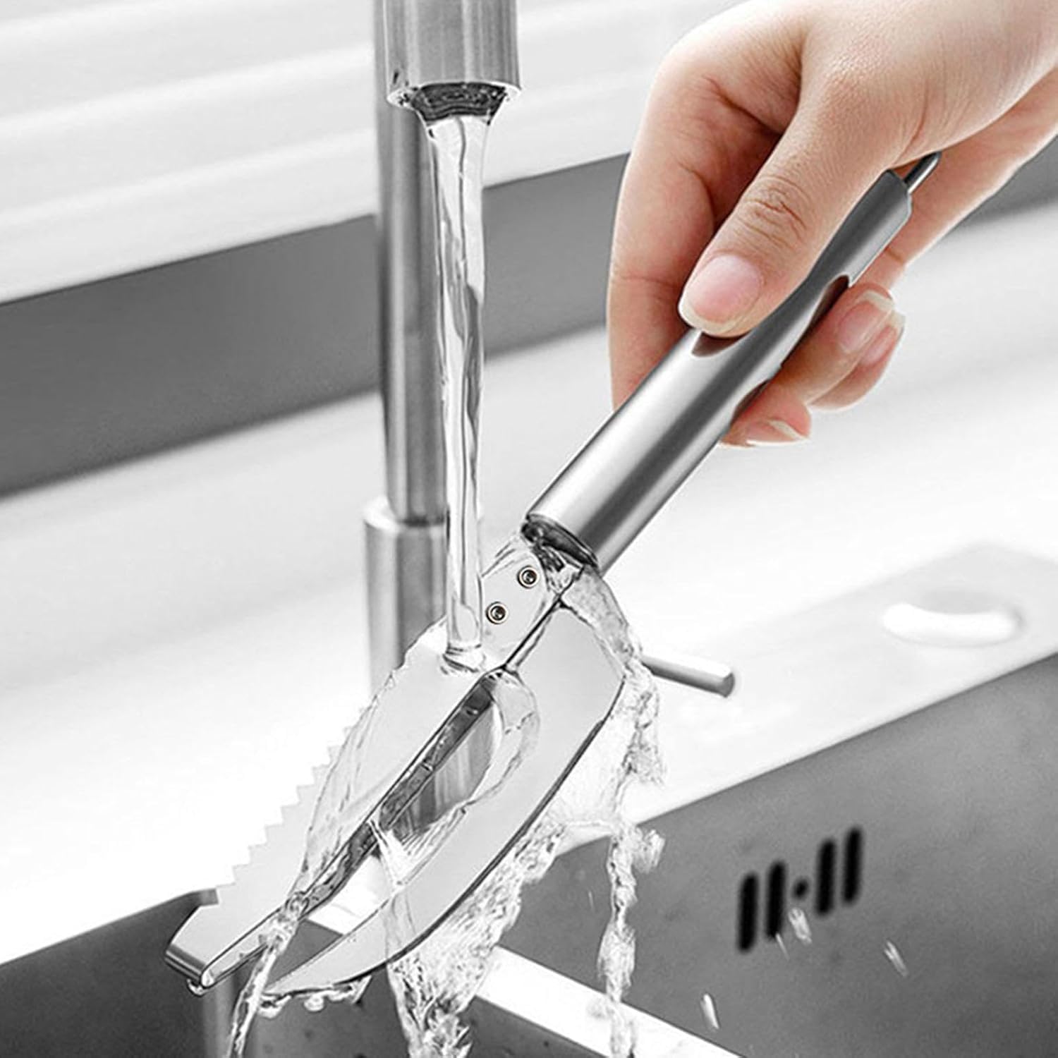 Homava Stainless Steel 3 in 1 Fish Maw Fish Hook Remover Cracker Fish Scale Fish Scraper Tool Fish Scales Scraping Too Gadgets Tank Net Tools Fish Pliers and Gripper | Silver | Pack 2 1