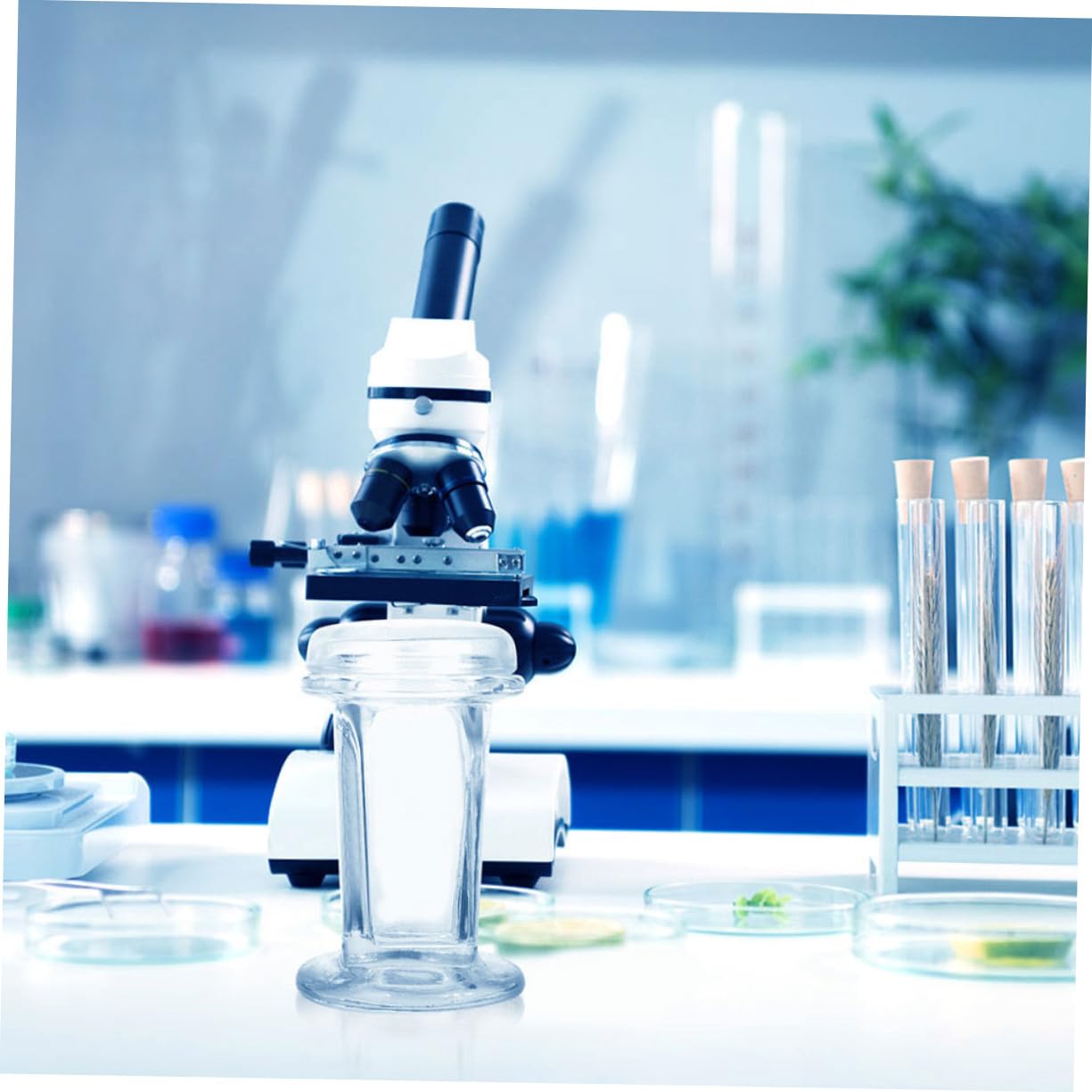 Generico 3 Pz vaso per tintura Porta vetrini microscopici vaschetta per colorazione per campioni cellulari vasetto di colorazione per la ricerca vaso di germinazione Bicchiere Transparent