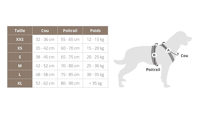 Foto 4 de 8 de CANI C GEAR, Arnés, Modelo SYMBIOZ, Color Negro/Turquesa, Forro de Neopreno antiirritaciones