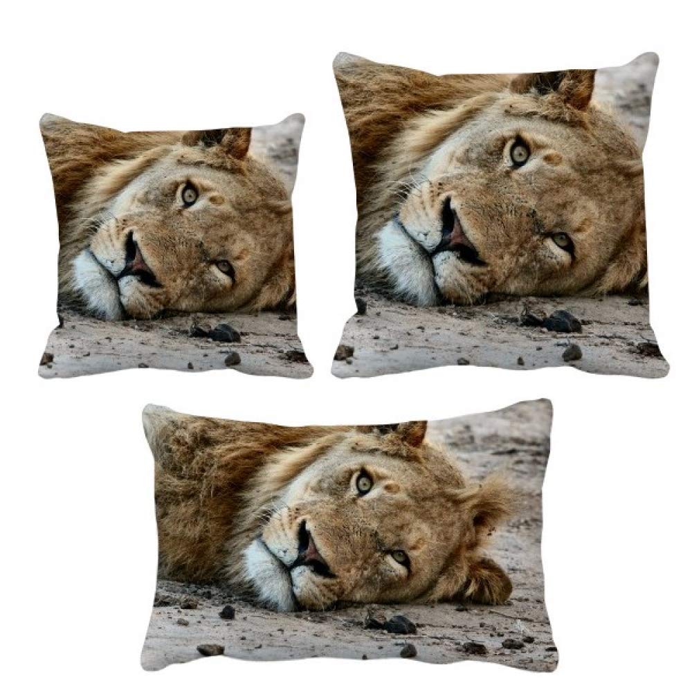 Housse de coussin lion animal sauvage pour relooker un canapé