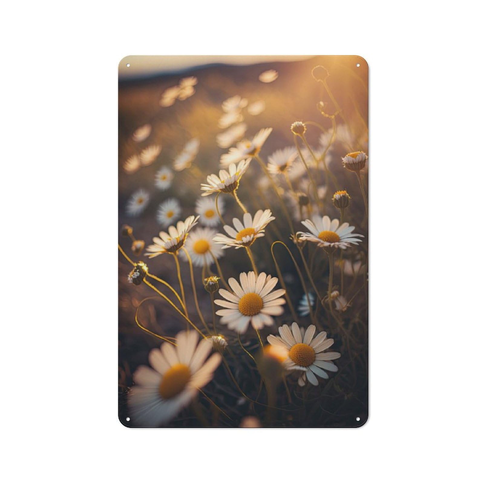 Junmoney Daisy Field Vintage-Inspired Tin Sign 30X20cm For Café Or Restaurant, For Cooler-Month Interiors With Vintage Character