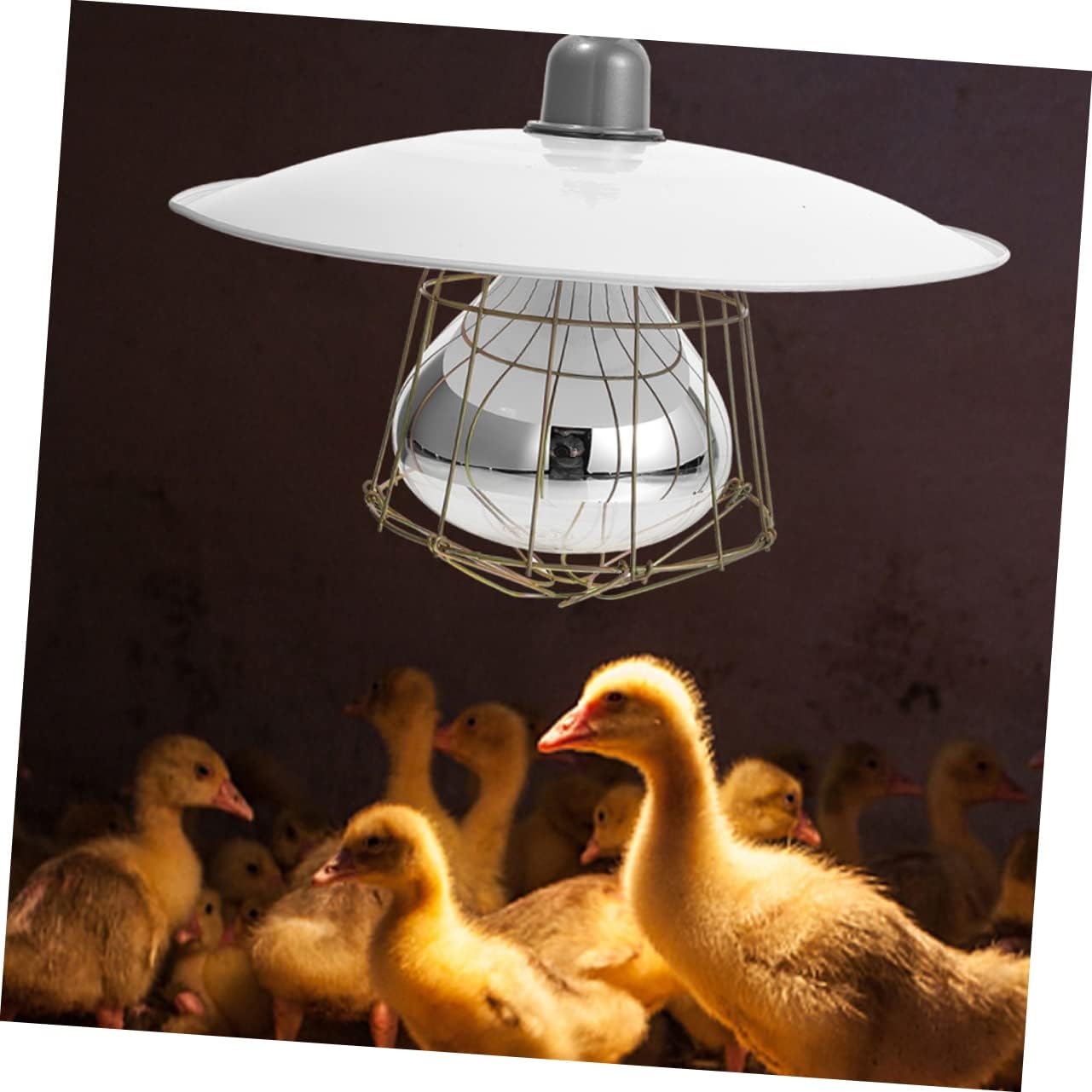 Happyyami Puppy Heat Lamp Kit Pet Heat Preservation Lamp for Chickens Dogs Cats and Birds Livestock Thermometer Included Safe and Easy to Use