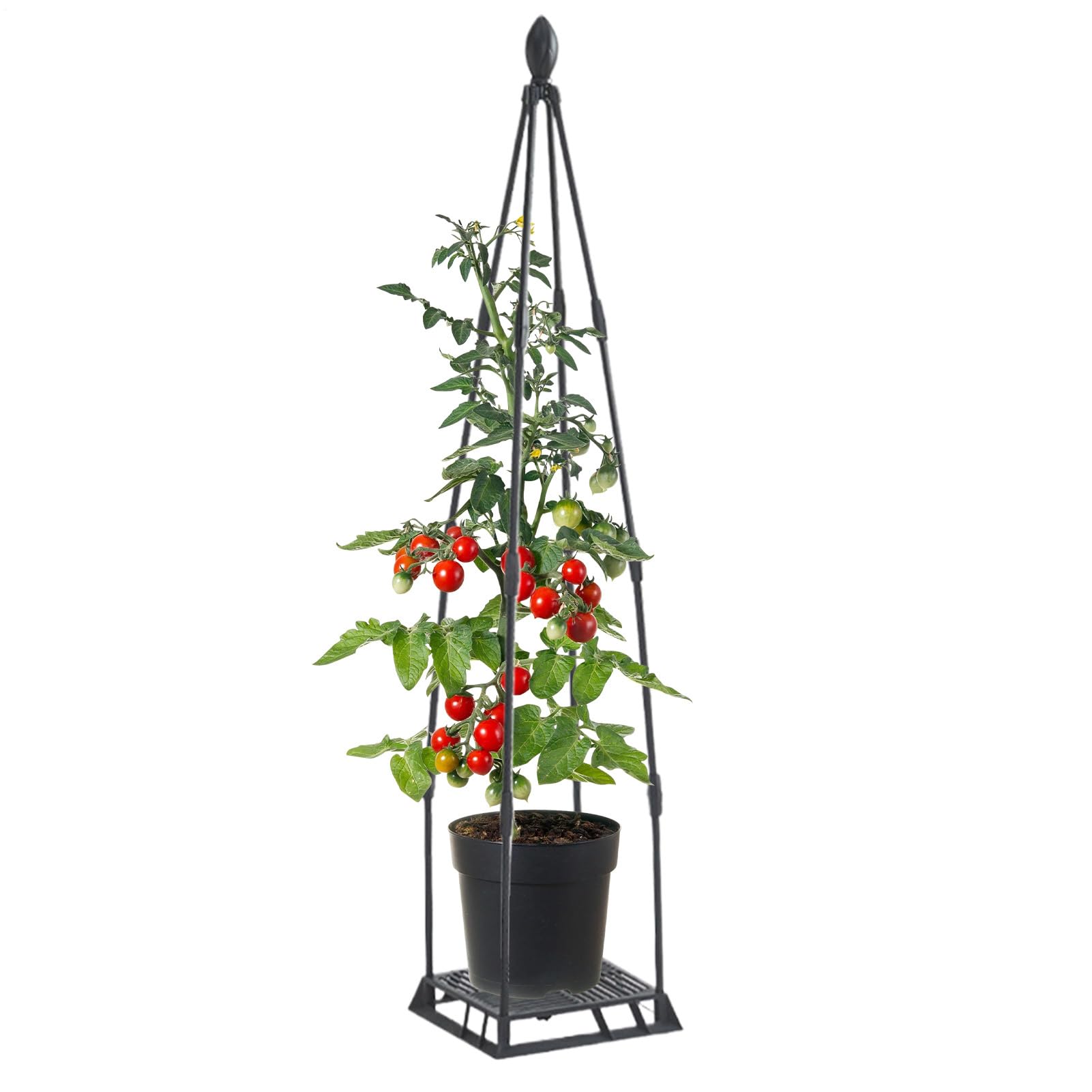 Treillis de jardin pour terrasse et balcon tuteur décoratif en métal