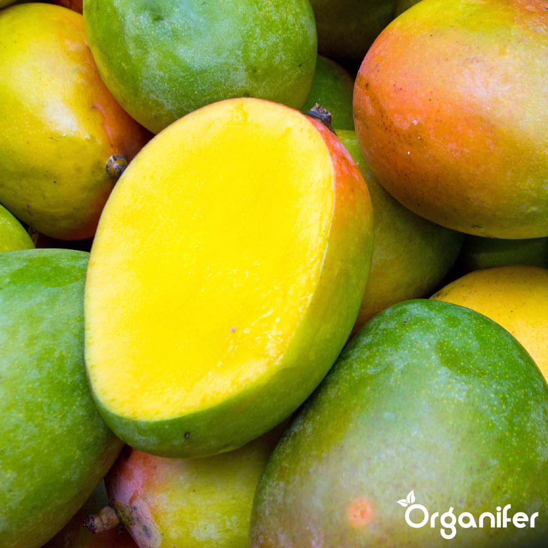 Fertilizzante liquido organico 1L per mango – crescita ottimale e frutti rigogliosi – Organifer