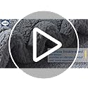 SEALY Electric Blanket Heated Throw 50"x60" Soft Double Sherpa Super Cozy with 6 Fast Heating Levels & 2-10 Hours Auto-Off, Over-Heat Protection, Machine Washable, Dark Grey