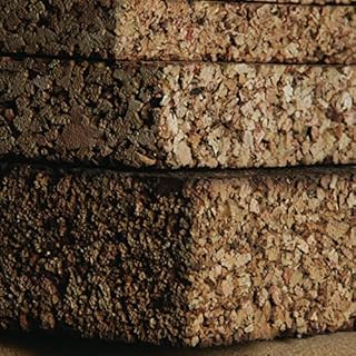 Biocork - Pannelli di sughero biondo agglomerato dimensioni 50x100cm spessori da 1 a 8cm per cappotti interni/esterni e isolamento termoacustico di tetti/soffitti/pareti/pavimenti (3cm - conf. da 5mq)