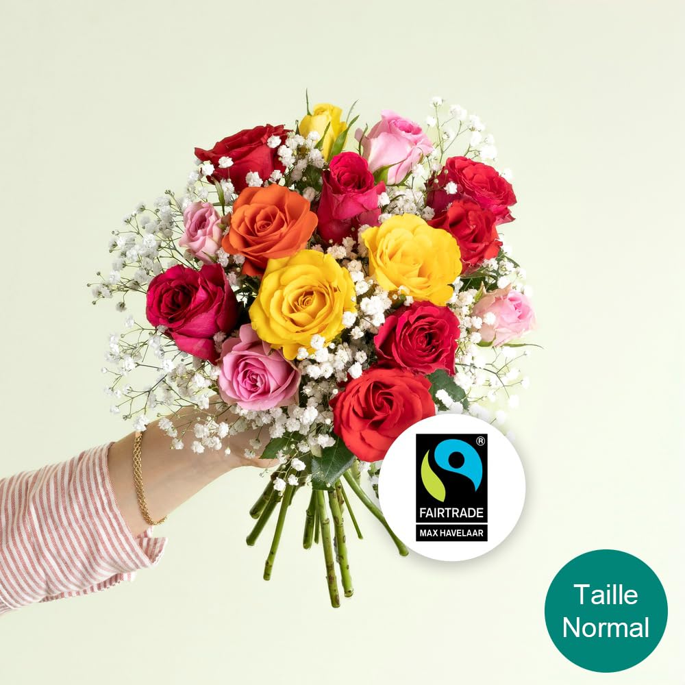 Bouquet de Petites Roses Multicolores, Roses du Kenya, env. 15 Tiges