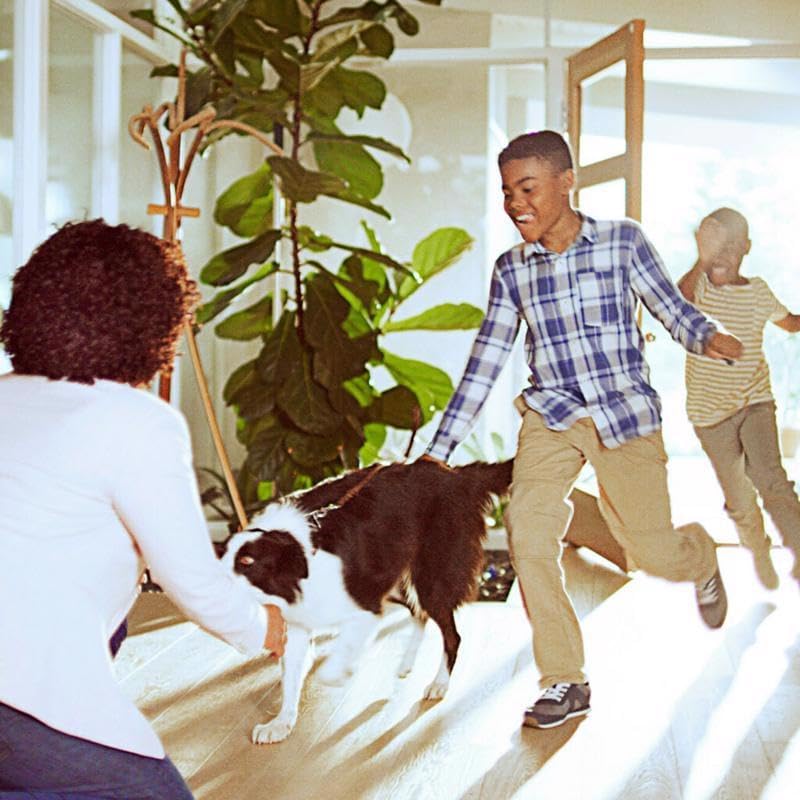 Filtrete Micro Allergen Defense Filter, 14 x 14 x 1-Inches, 4-Pack