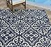Gertmenian Indoor Outdoor Classic Flatweave Area Rug, Stain & UV Resistant Carpet, Deck, Patio, Poolside & Mudroom, 8x10 Ft Large, Floral Medallion, Navy Blue, 21571