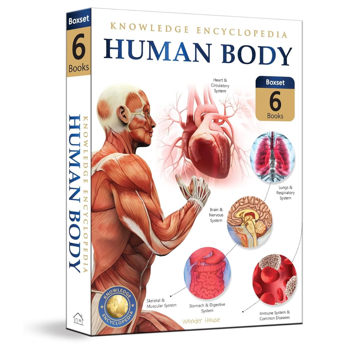 Human Body Box Set: Knowledge Encyclopedia For Children