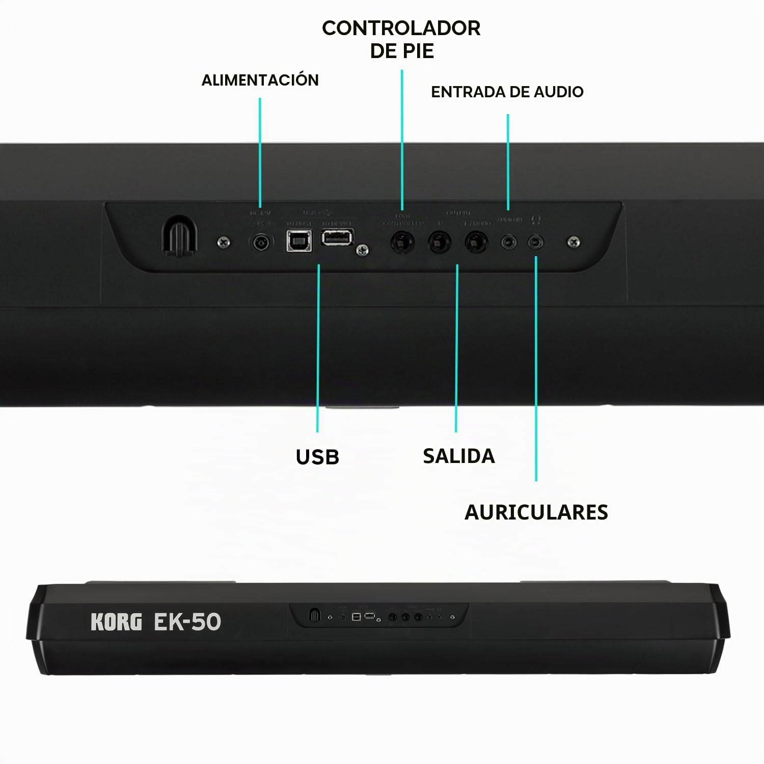 Korg EK-50 - Teclado digital con 61 teclas sensibles al tacto