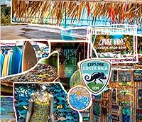 Pura Vida 1714564355 Book Cover