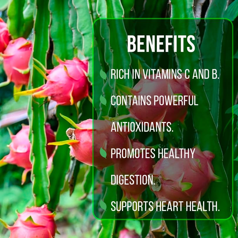 Edgar's Baby Dragon Fruit Tree - 4 Live Starter Plants Edgar's Baby Dragon Fruit Tree - 4 Live Starter Plants