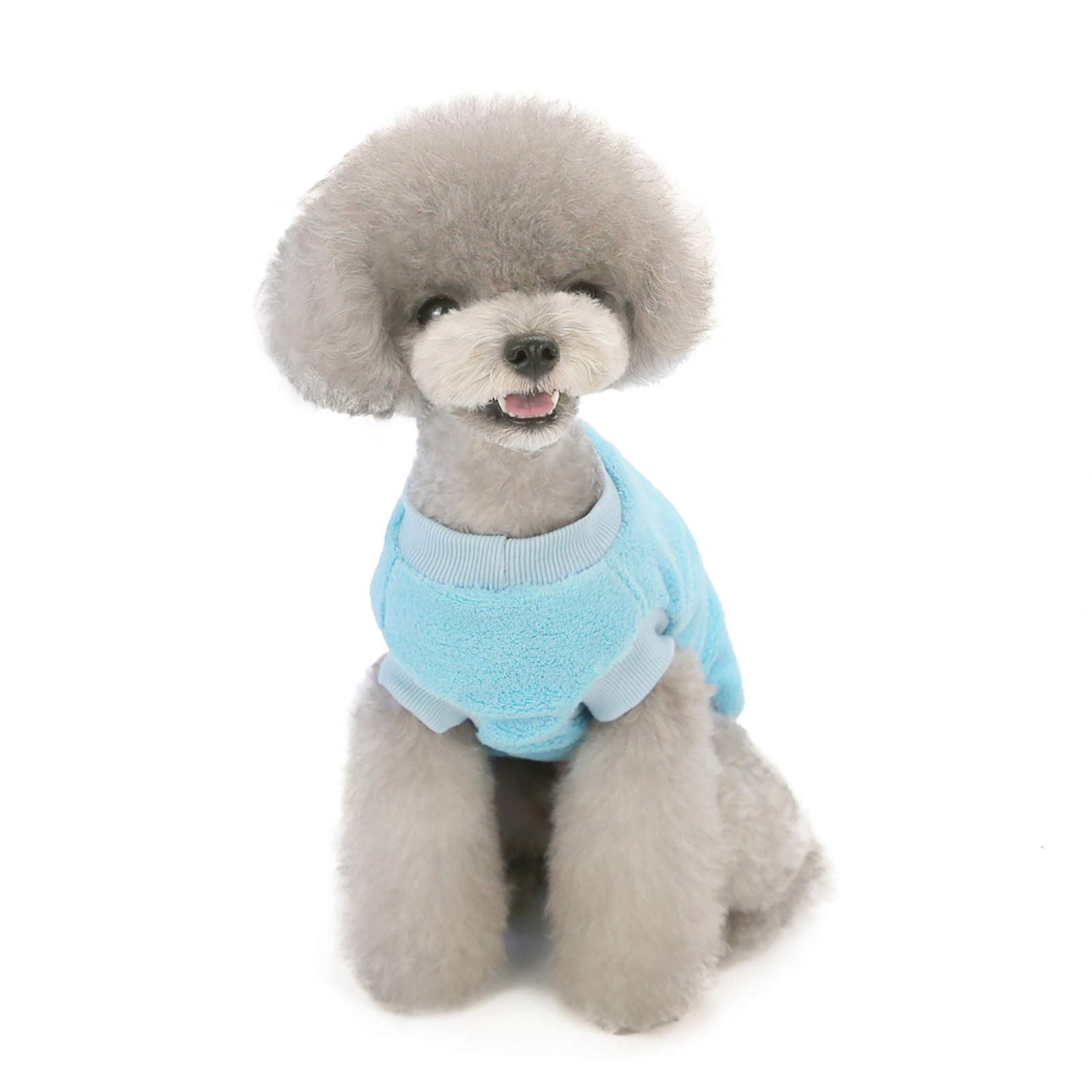SMALLLEE_LUCKY_STORE Pet Fleece Jumper for Small Dogs Cat Girl Boy Cozy Soft Pullover Sweater Shirt Sweatshirts Warm Winter Coat Puppy Yokie Chihuahua Clothes Flower Pattern,Blue,Size S - Image 3