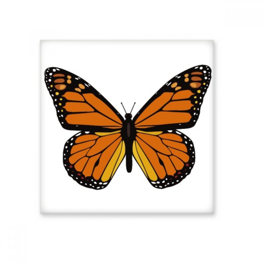 Carreau de céramique de qualité supérieure décor papillon bisque orange pour mur chic