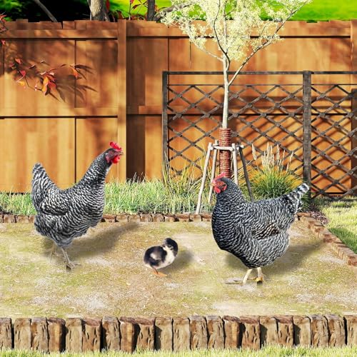 Hühnersteigelset, Metal Chicken Yard Art,Rooster Animal Stakes - 3X wetterresistente Eisenhken-Küken Spikes für Landschaft, Ostern, Küchenrasen