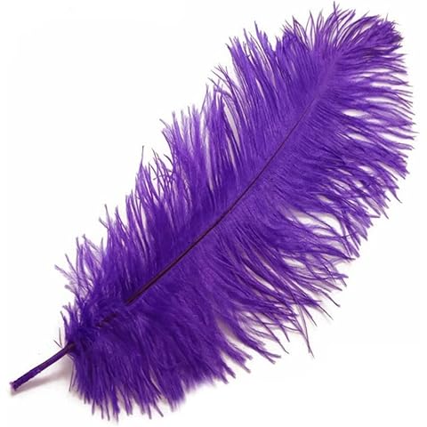 Purple Ostrich Feathers, 5 to 6 inches x 3 Weddings, Crafts Cover
