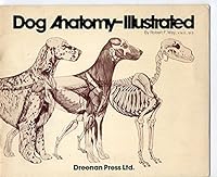 Dog Anatomy-Illustrated 0883760541 Book Cover