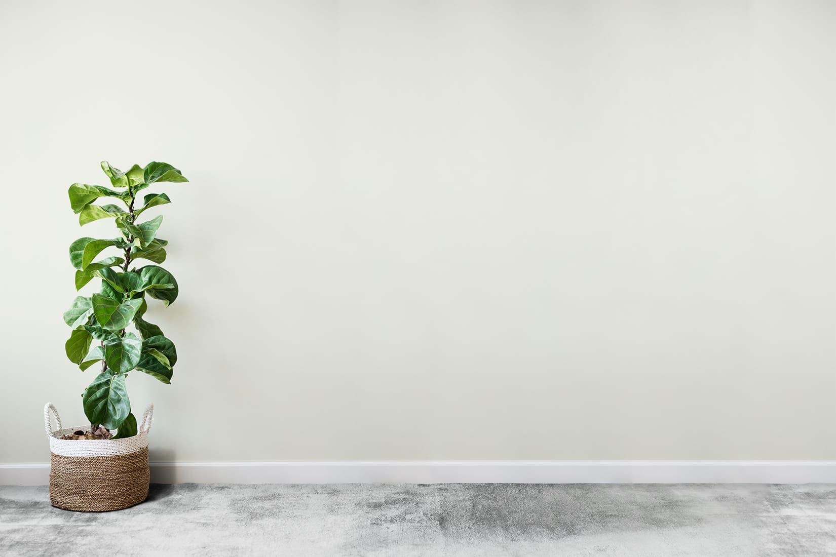 POK SATIN Peinture Mur Plafond – Intérieure Satinée, Lessivable, Multisupport - Lune blanche 50m² - 5L
