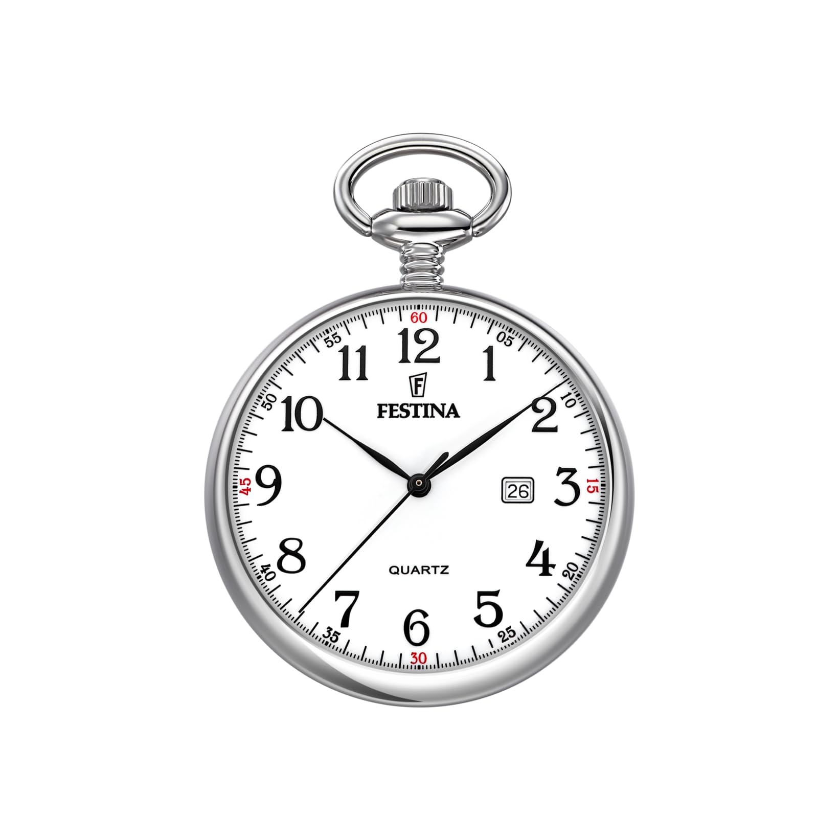Festina F2019/1 - Men`S Watch