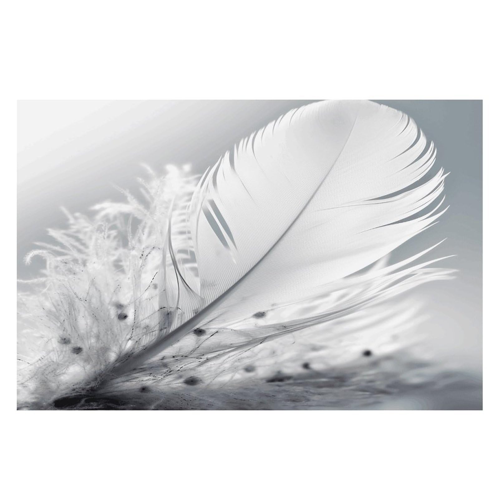 Fluttering White Feathers Placemats Wipeable Heat Resistant Table Mats Washable Flax Place Mats Elegant Cloth Non-Slip Placemat for Kitchen Dinning Party Table Decor 12 * 18 in
