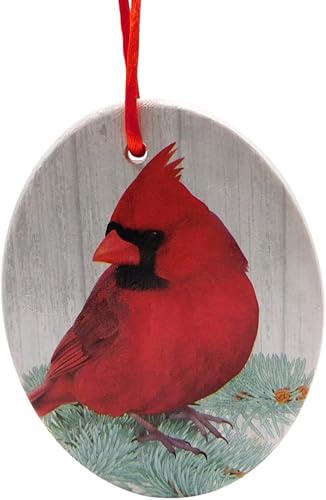 Adorno cardenal con historia de leyenda para árbol de Navidad