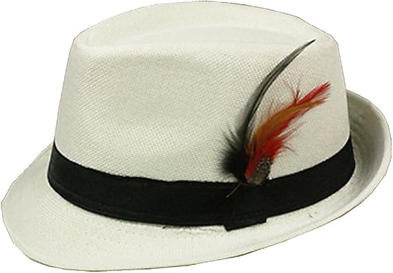 Silver Fever® Felt Fedora with Feathers 